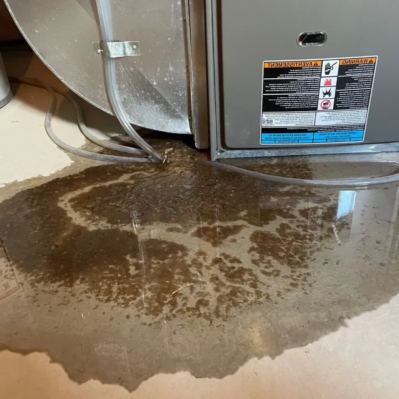 Pipe Burst and Leak Restoration in North Puyallup, WA